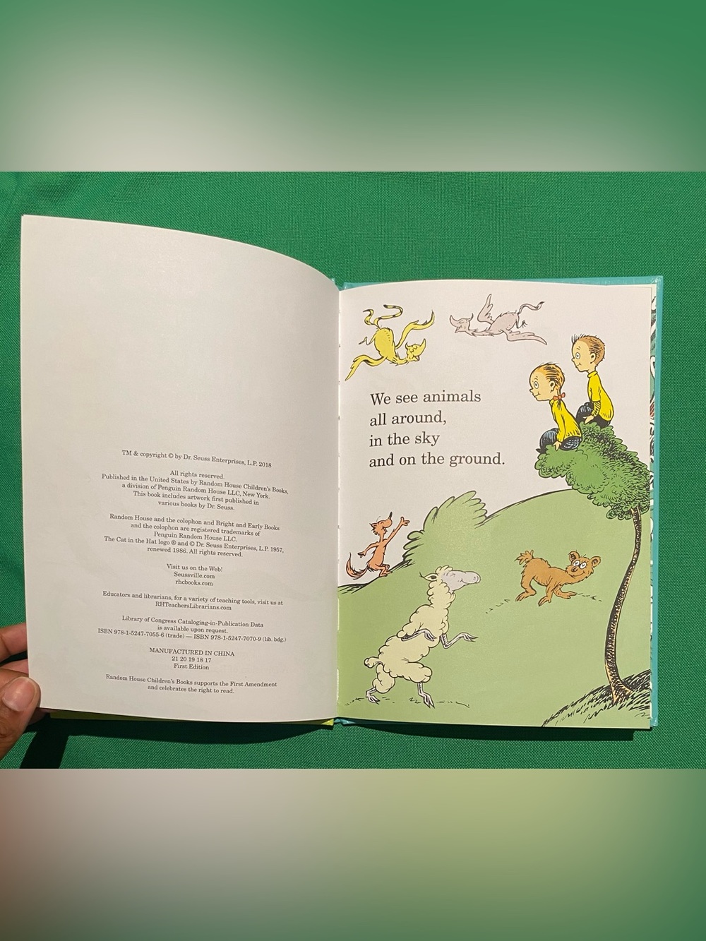 Dr. Seuss Teal & Yellow Children's Picture Book Pair - Picture 13 of 15